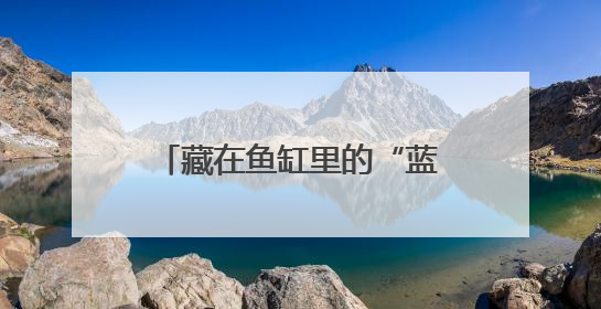 藏在鱼缸里的“蓝海”：拼多多“千亿扶持”加速激活西部水族大市场